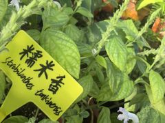 -国家植物园南园