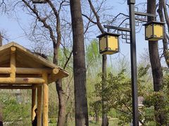 -元大都城垣遗址公园