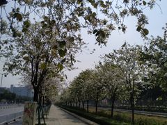-粒上皇(天河南一路店)