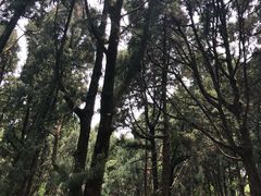 -七曲山风景区