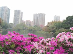 -晓港公园