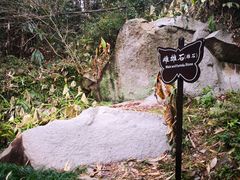 -福清灵石山国家森林公园