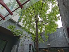 -成都许燎源现代设计艺术博物馆