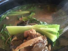 -蘑统田下·野生菌火锅