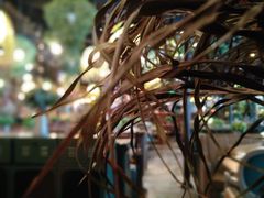-临界音乐酒馆·小龙虾·江湖菜(华熙LIVE·鱼洞店)