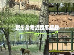 -秦皇岛野生动物园