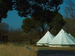 -梁鸿国家湿地公园