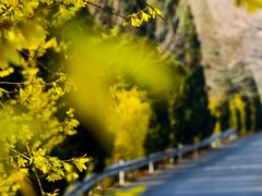 -昆嵛山石门里景区