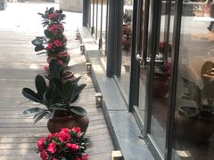 -芙蓉堂(武汉天地店)