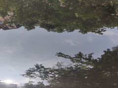 -跃通XPEL超级旗舰店(浦东店)