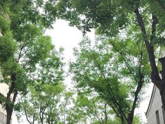 -文瀛公园