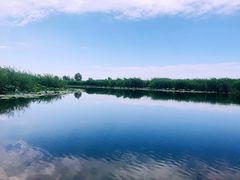 -白洋淀景区