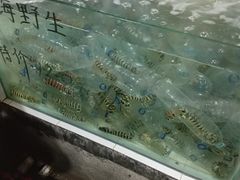-海盗餐厅