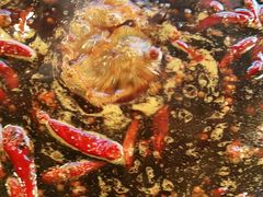 -岗上渣渣老火锅(两路口店)