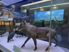 -国家自然博物馆