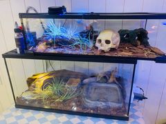 -Rabbit Cafe私房西餐甜点咖啡(栖霞路店)