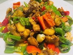 -煲来饱去冷水鱼