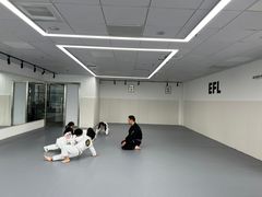 -EFL巴西柔术·综合格斗·泰拳·少儿体能训练(虹桥德必馆)