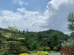 -东莞植物园