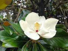 -宜兴龙背山森林公园