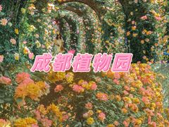 -都江堰玫瑰花溪谷