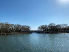 -大兴滨河森林公园