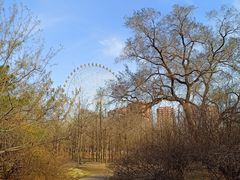 -万泉公园