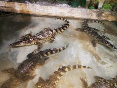-乌鲁木齐海洋馆