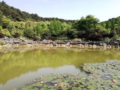 -铁山坪森林公园