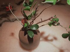 -桂满陇·锦绣江南(益田广场店)