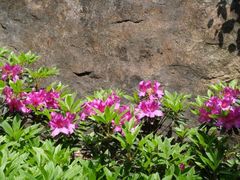 -宁波五龙潭景区