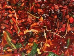 -红辣椒·川菜·火锅(张杨路店)