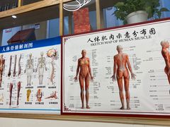 -杏林康桥中医正骨·体态矫正·跌打损伤·推拿按摩(国贸建外SOHO店)
