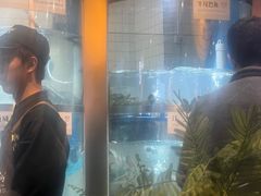 -老船舫·现做活鲜鱼馆(东郊记忆店)