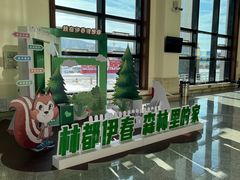 -伊春林都机场