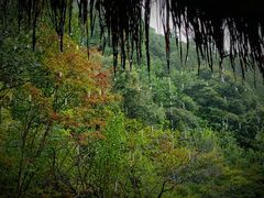 -黄公望隐居地