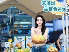 -京东电器城市旗舰店(深圳华强北店)