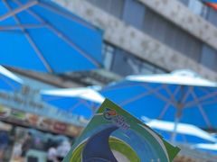 -珠海长隆海洋王国