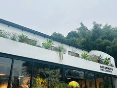 -自由生长植物工作室(深港花卉中心店)