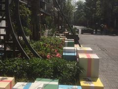 -泡桐树街