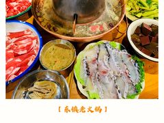 -东镇老火锅(长春路首店)