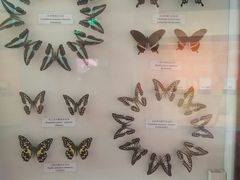 -陕西自然博物馆