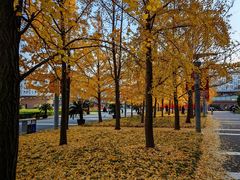 -中国计量大学(西校区)