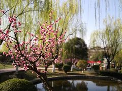 -鹦鹉寺公园