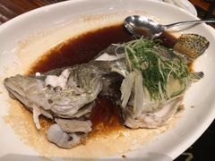 -顺德了能馆(虎门店)