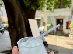 -洪馨椰子