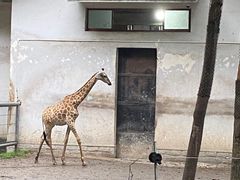 -杭州动物园