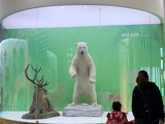 -国家自然博物馆