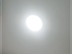 -锡兴记(紫荆花路店)