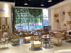 大堂-藏猫猫咖啡主题馆(中央大道店)
